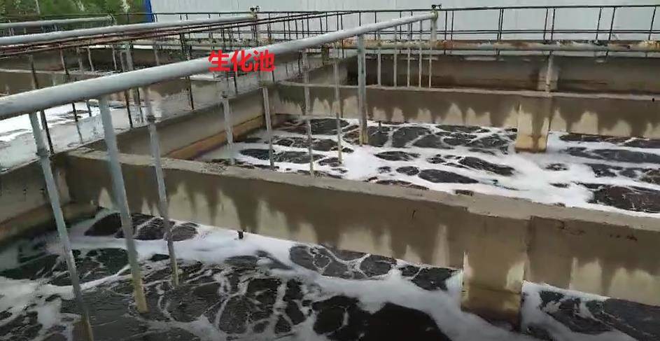 浙江湖州æŸçš®é©åŽ‚åºŸæ°´æ”¹é æ¡ˆä¾‹