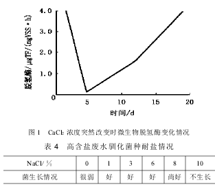 高含鹽廢水生物處理技術探討