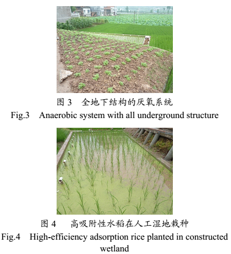 ACGMP生態(tài)農(nóng)村污水處理系統(tǒng)應(yīng)用