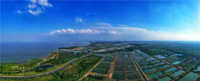 派河截導(dǎo)污九聯(lián)圩濕地。張潔攝影